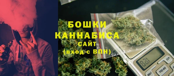 гидра Алексеевка