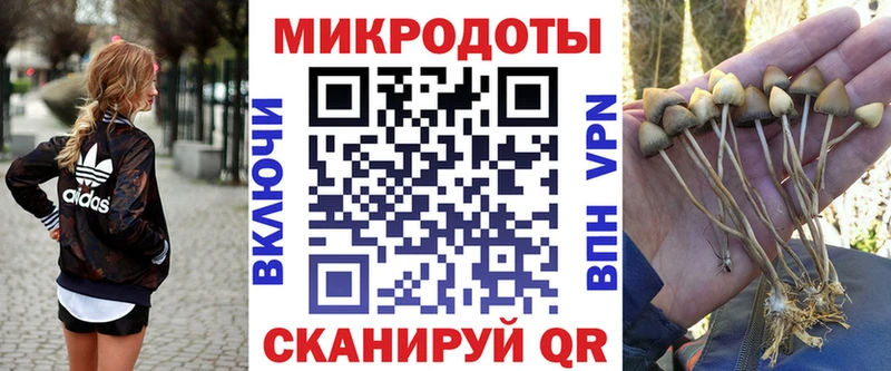 Галлюциногенные грибы Magic Shrooms Кемерово
