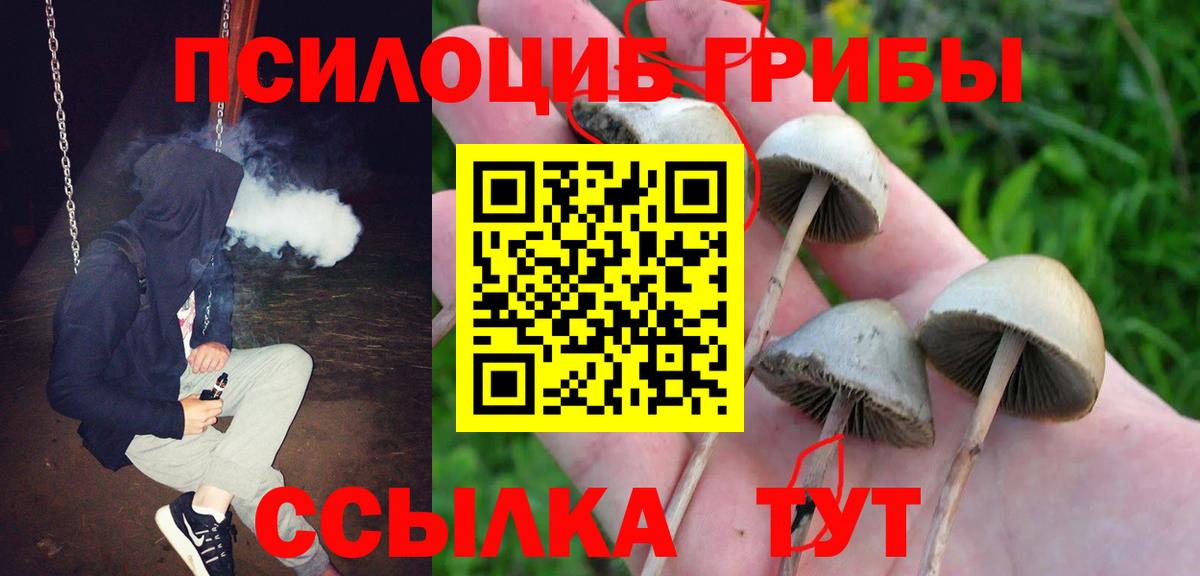 Кемерово  Псилоцибиновые грибы Psilocybine cubensis  Вход с VPN 